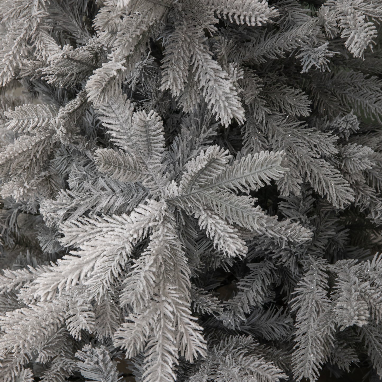 5ft (1.5m) Grey Frosted Grandis Fir Christmas Tree with Metal Stand