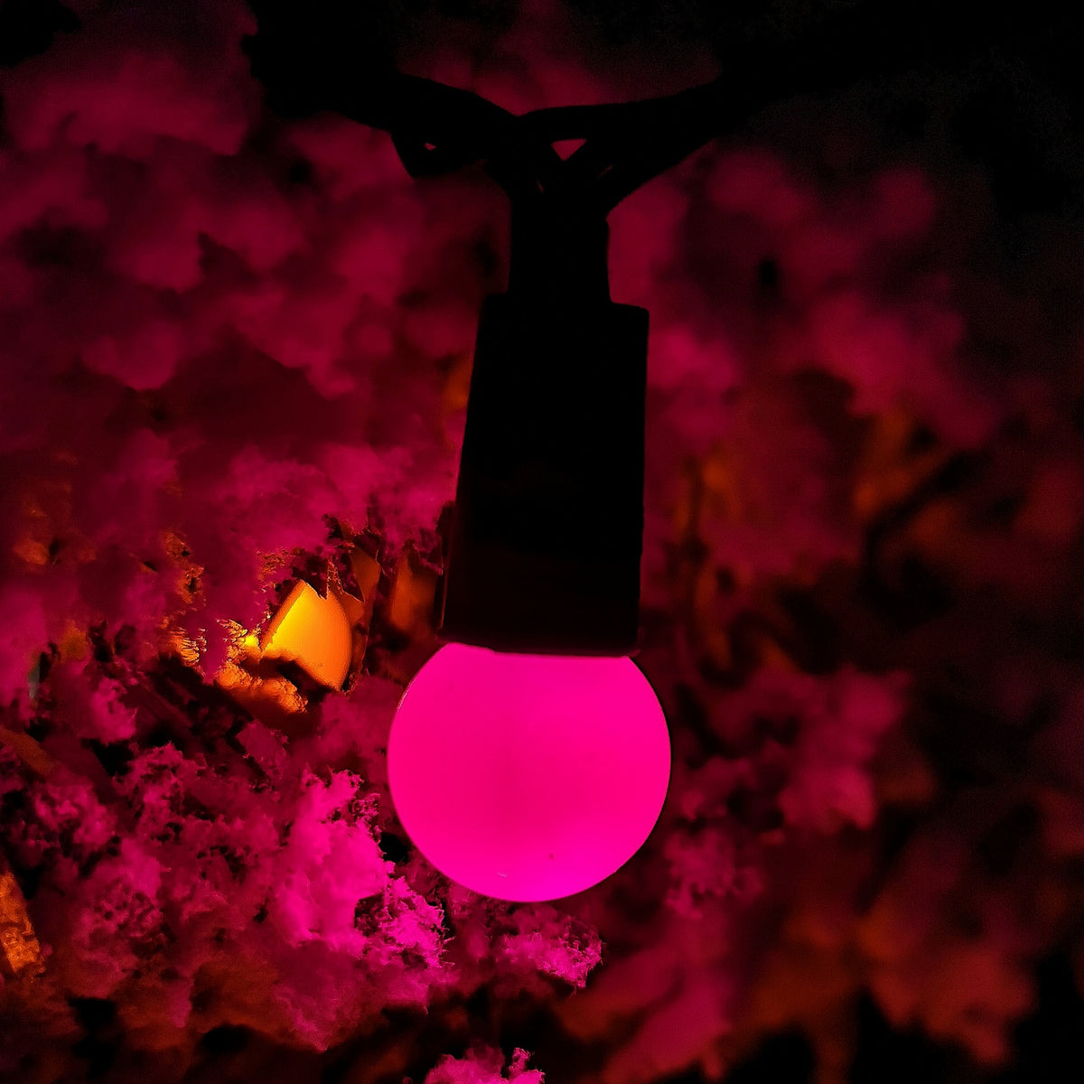 50 LED Pearl Berry Multi-Action Christmas String Lights in Rainbow