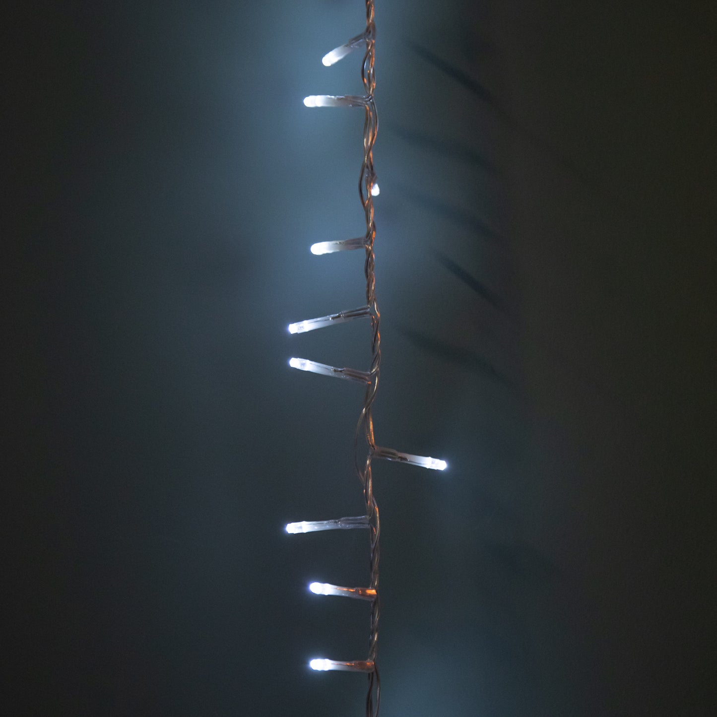 50m 2000 LED TreeBrights Christmas String Lights with Timer in White on Clear Cable