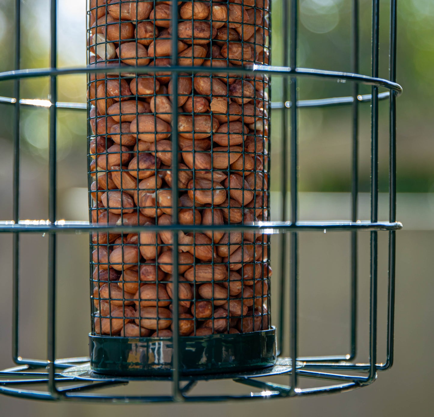 Pack of 2 Samuel Alexander Metal Hanging Bird Nut Feeder with Squirrel Guard & Pack of Nut Feed