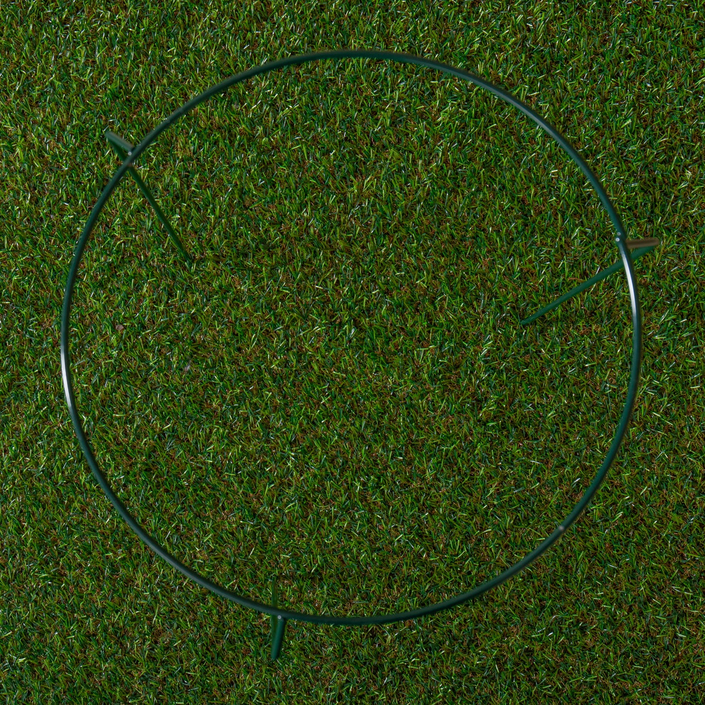 Tom Chambers Urban Metal Herbaceous Garden Plant Support Ring Medium 30cm x 50cm