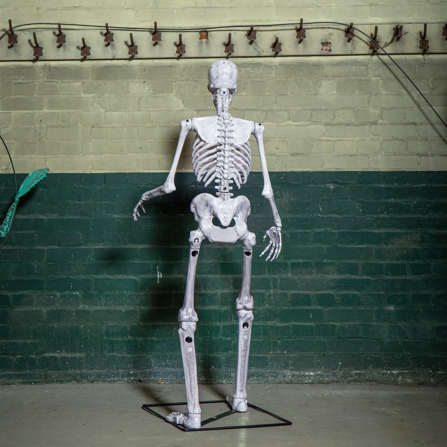 5ft (1.5m) Full Body Halloween Standing Skeleton with Posable Joints & Red LED Eyes