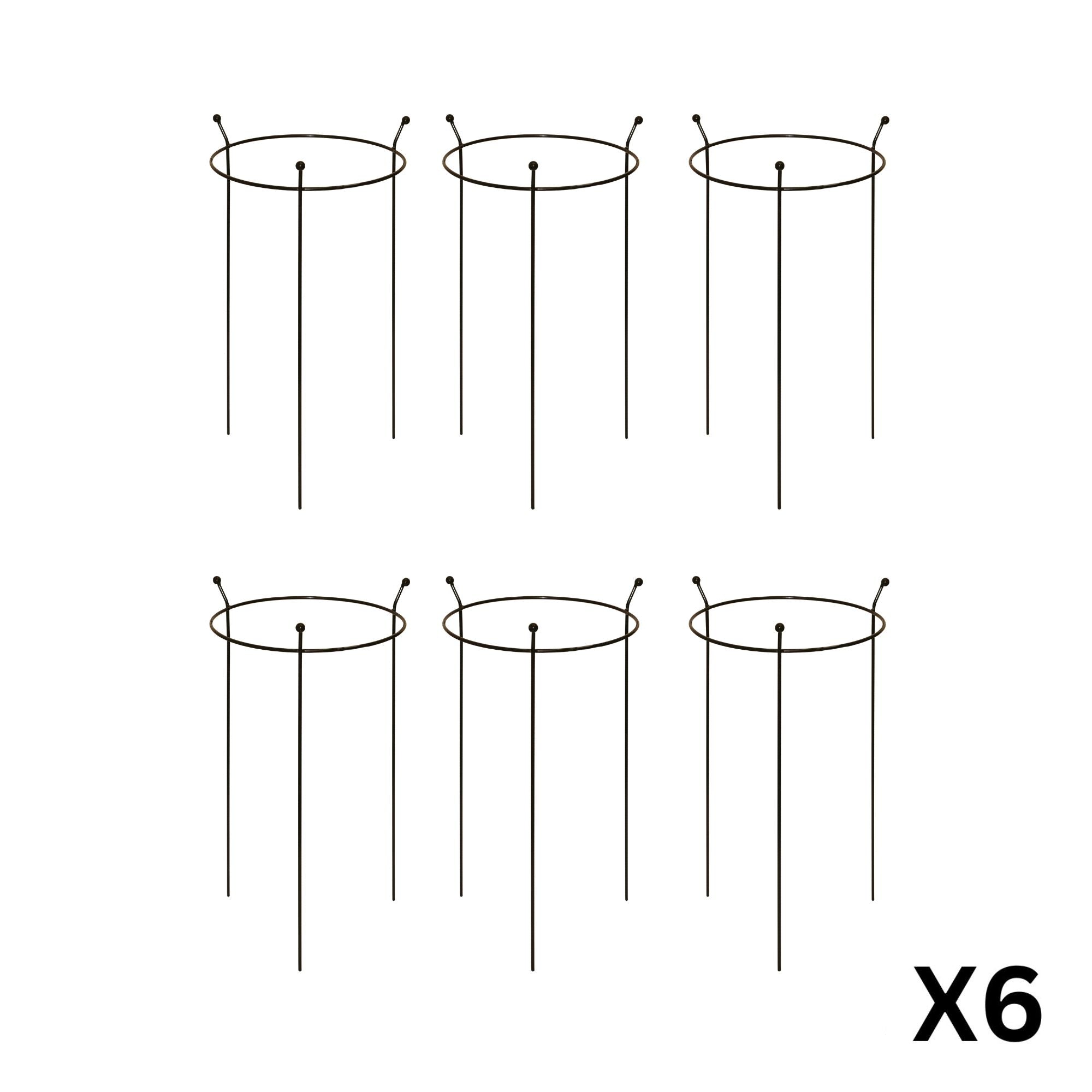 6 Pack of Small 60cm x 35cm Heavy Duty Black Steel Herbaceous Garden Plant Support Ring