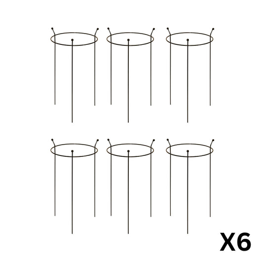 6 Pack of Small 60cm x 35cm Heavy Duty Black Steel Herbaceous Garden Plant Support Ring
