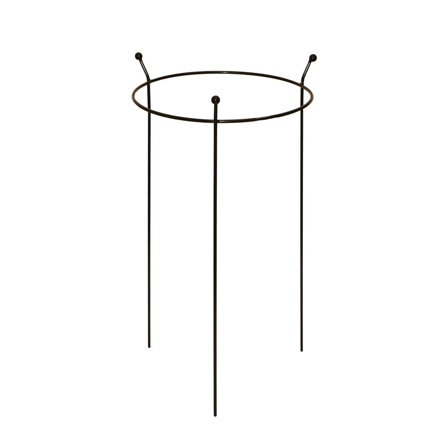 Small 60cm x 35cm Heavy Duty Black Steel Herbaceous Garden Plant Support Ring