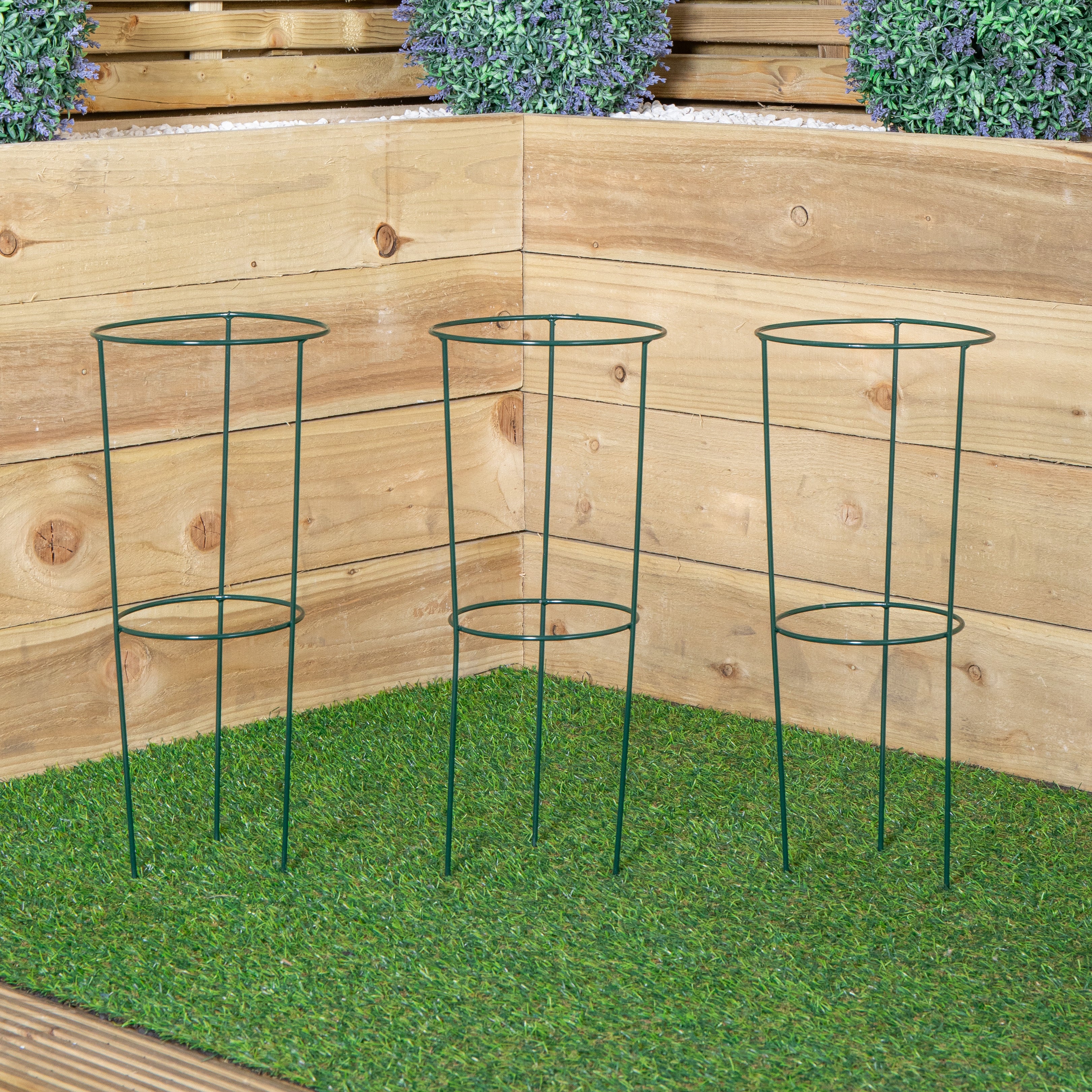 Pack of 3 Tom Chambers Urban Green Conical Garden Plant Support Ring 20cm- Small