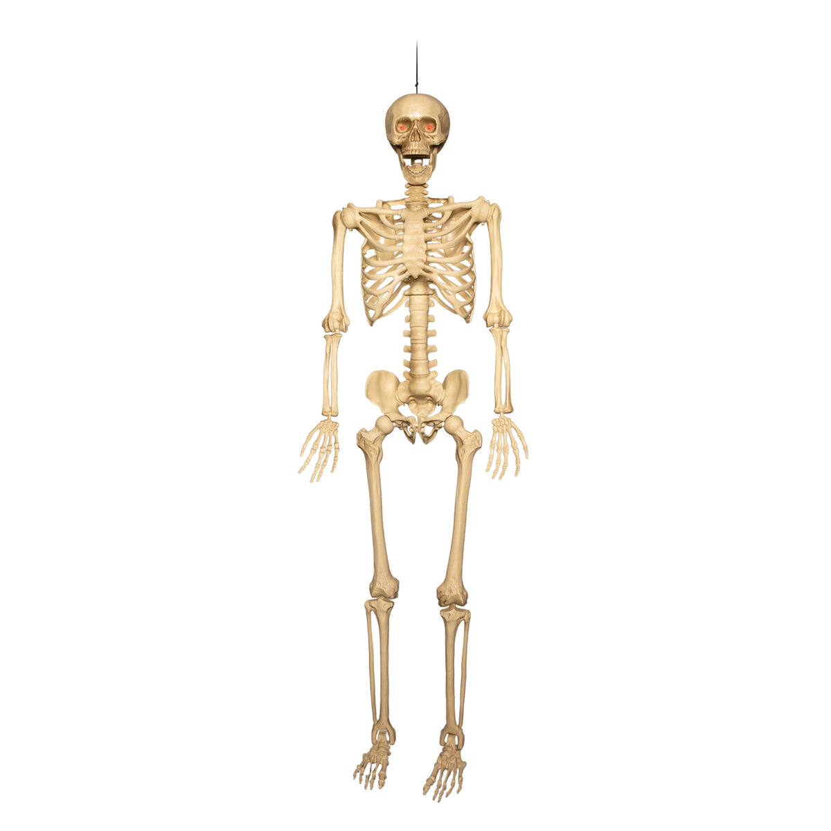 Pack of 2 5ft (150cm) Posable Full Body Halloween LED Skeleton Decoration with Movable Joints and LED Eyes