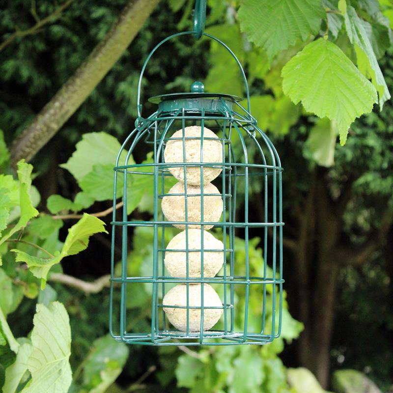 Pack of 3 Natures Market Wild Bird Hanging Nut Seed & Fat Ball Feeder with Squirrel Guard