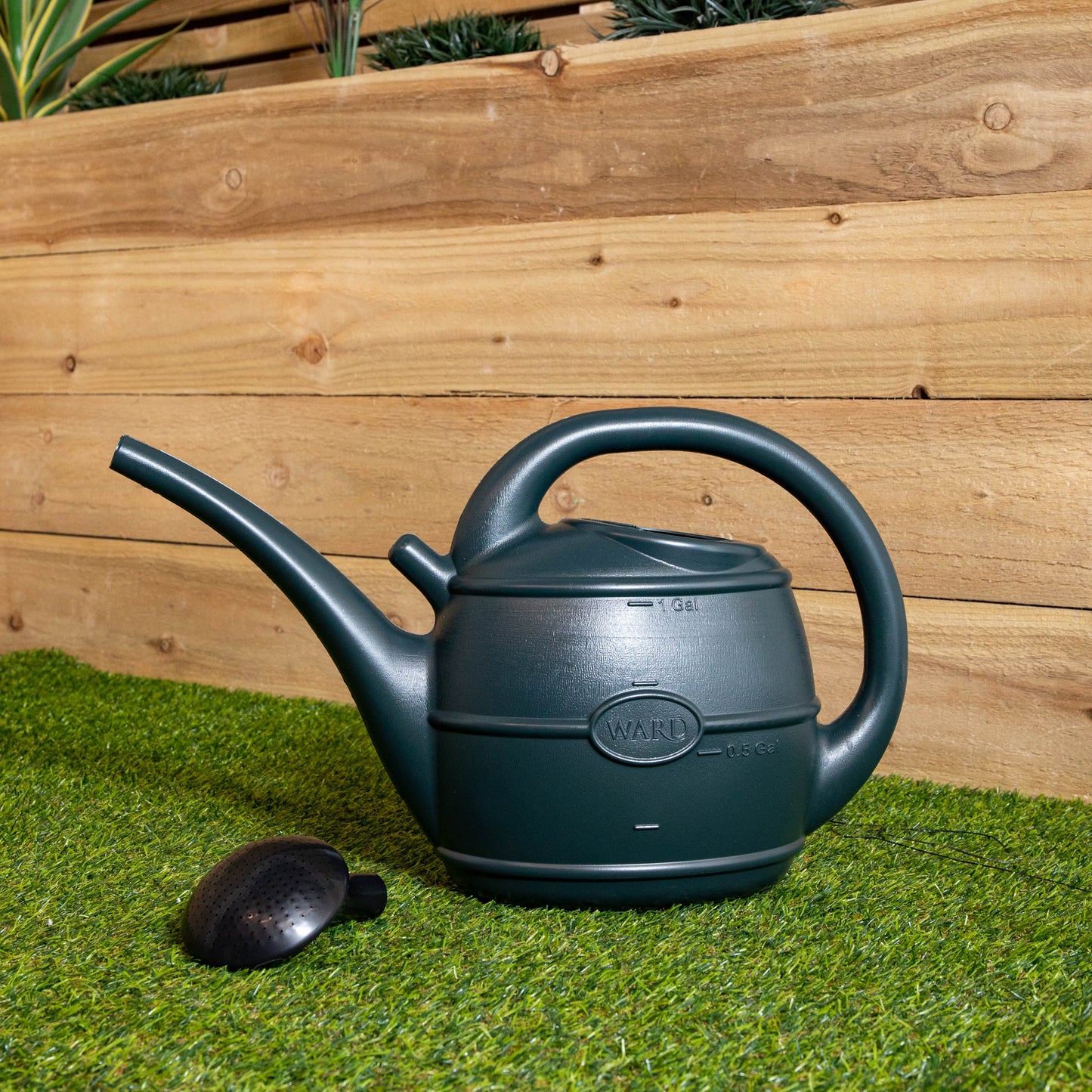 5L Garden Patio Ward Watering Can with Rose in Green