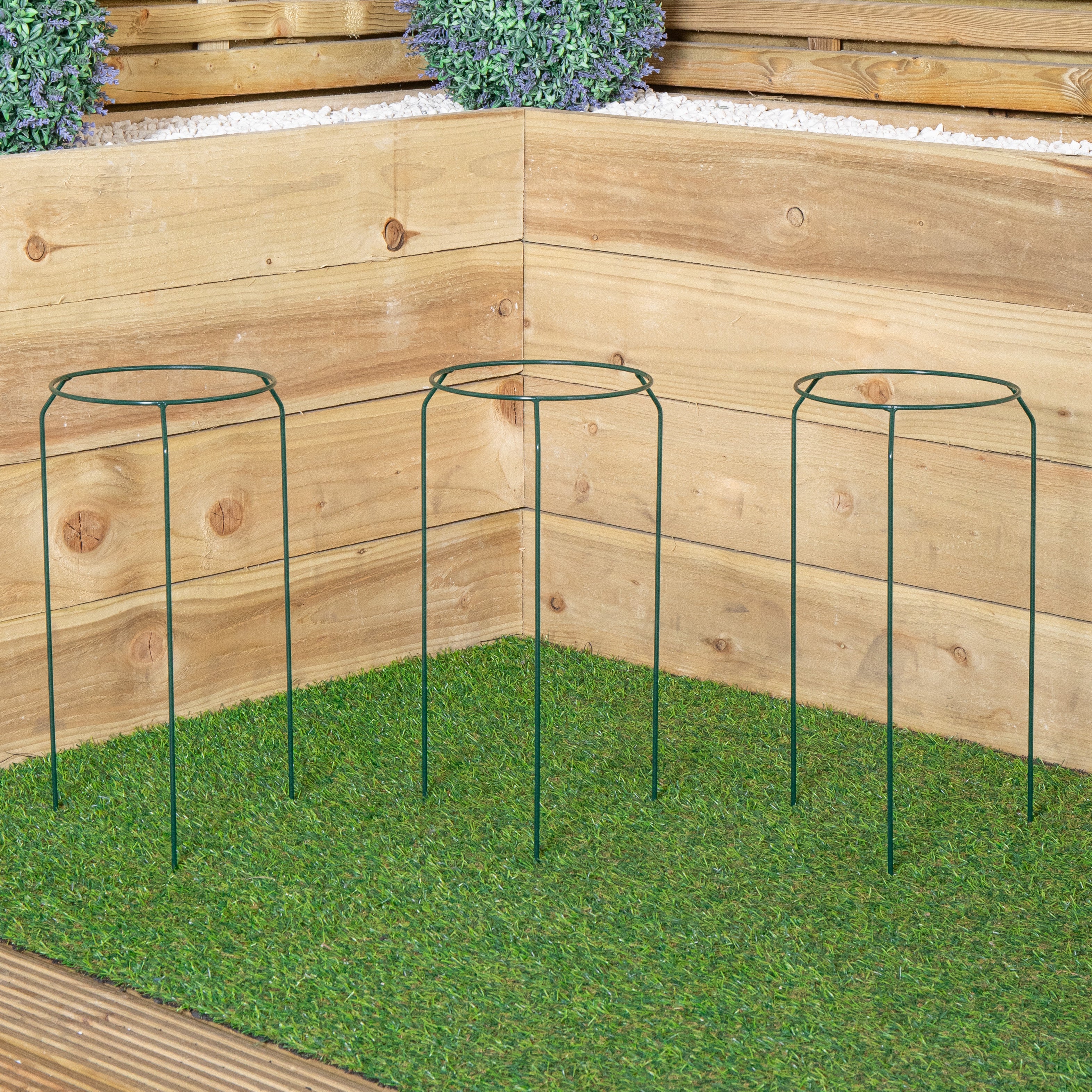 Pack of 3 Tom Chambers Green Metal Herbaceous Garden Plant Support Rings Small