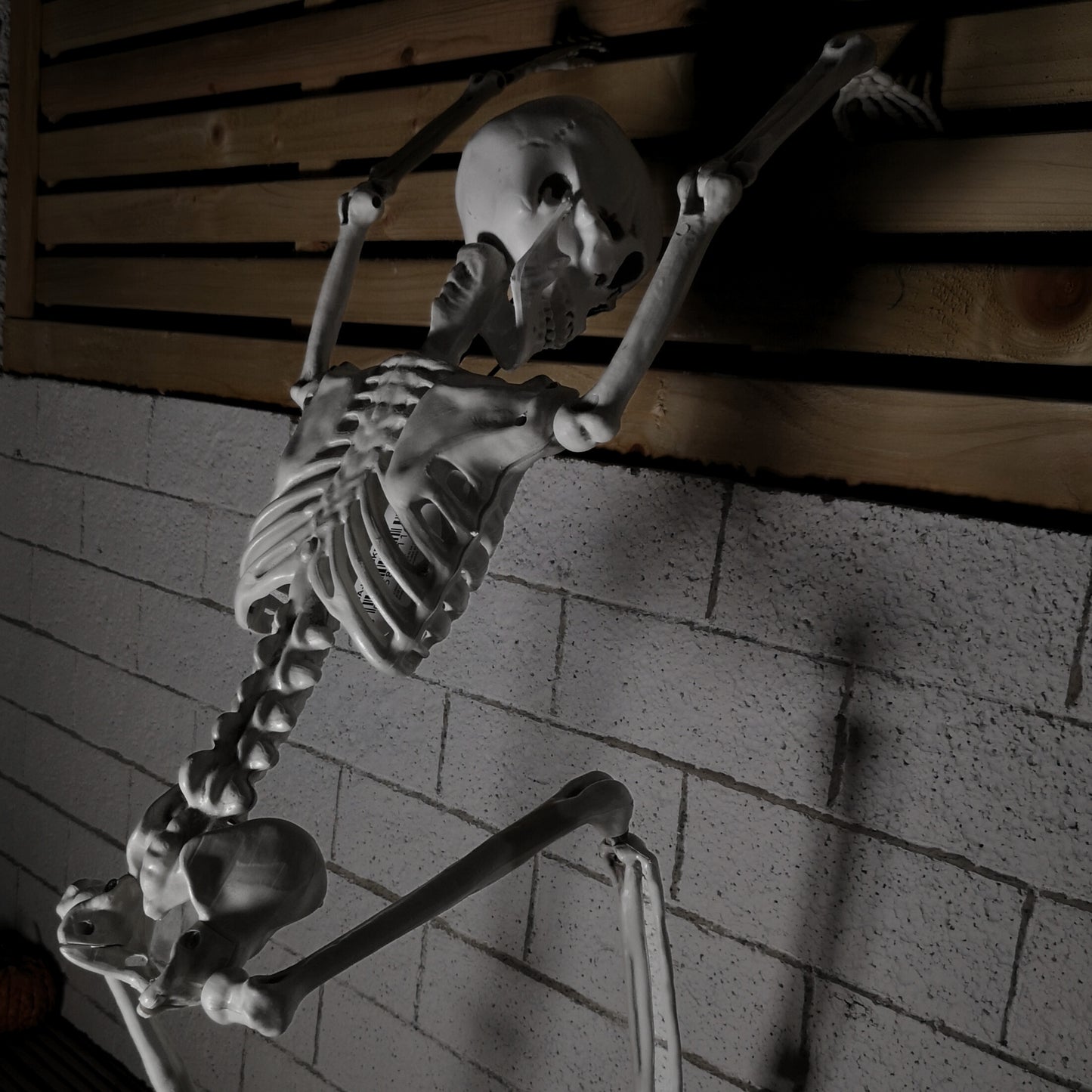 Pack of 6 90cm (3ft) Posable Full Body Halloween Skeleton Decoration with Movable Joints