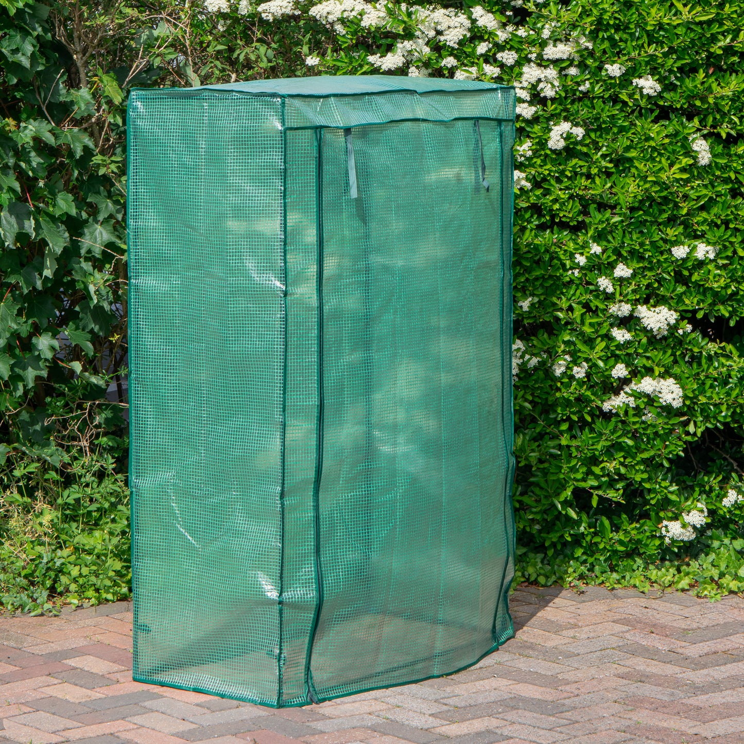 1.5m x 1m Outdoor Tomato Greenhouse with Steel Frame and Protective PE Cover