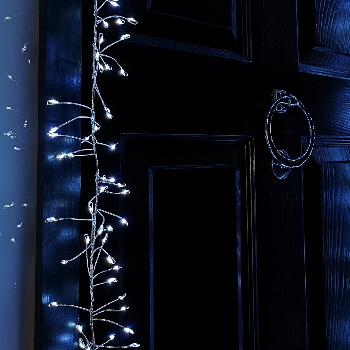 5.5m 880 LED Indoor Outdoor Christmas Door Lights in Cool White