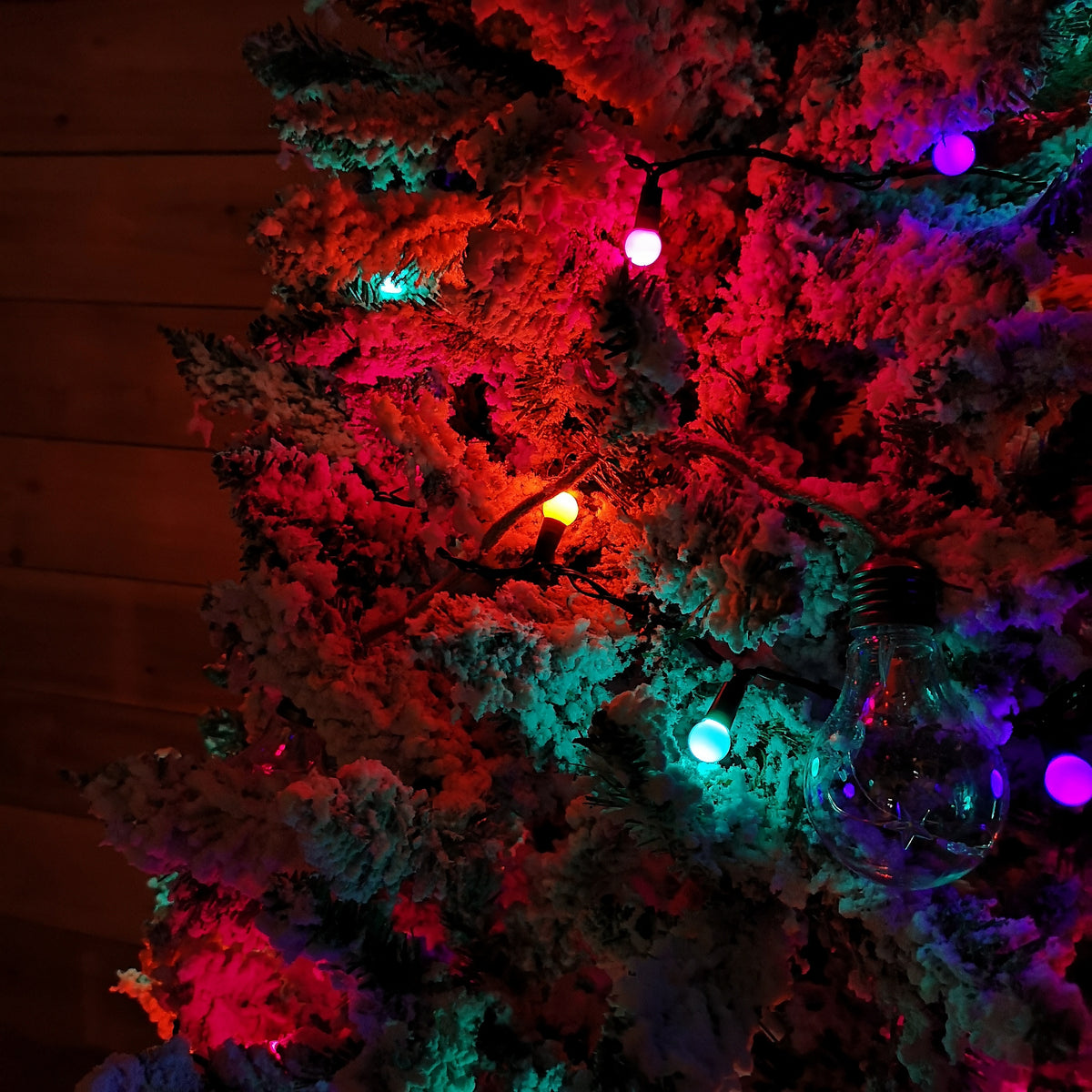 50 LED Pearl Berry Multi-Action Christmas String Lights in Rainbow