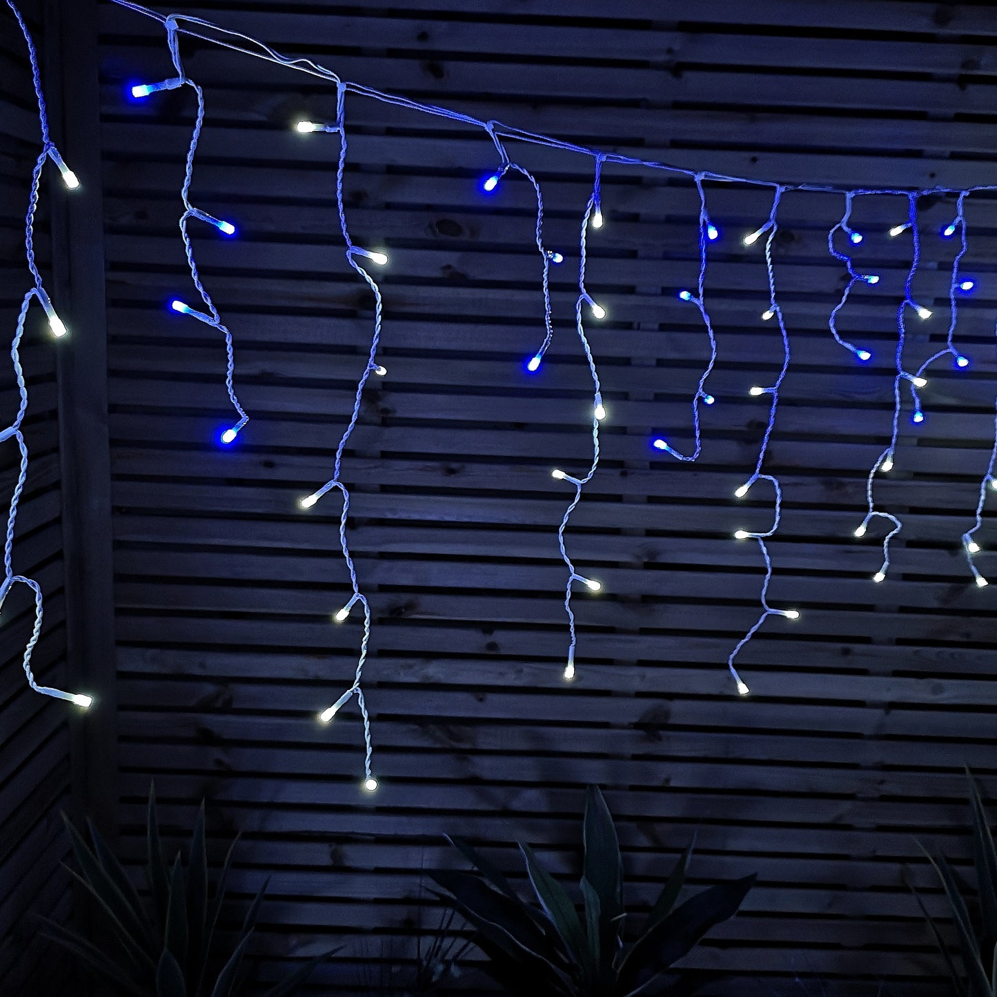 25m 1000 Blue and White LED Frosted Icicle Indoor Outdoor Christmas Lights with Timer