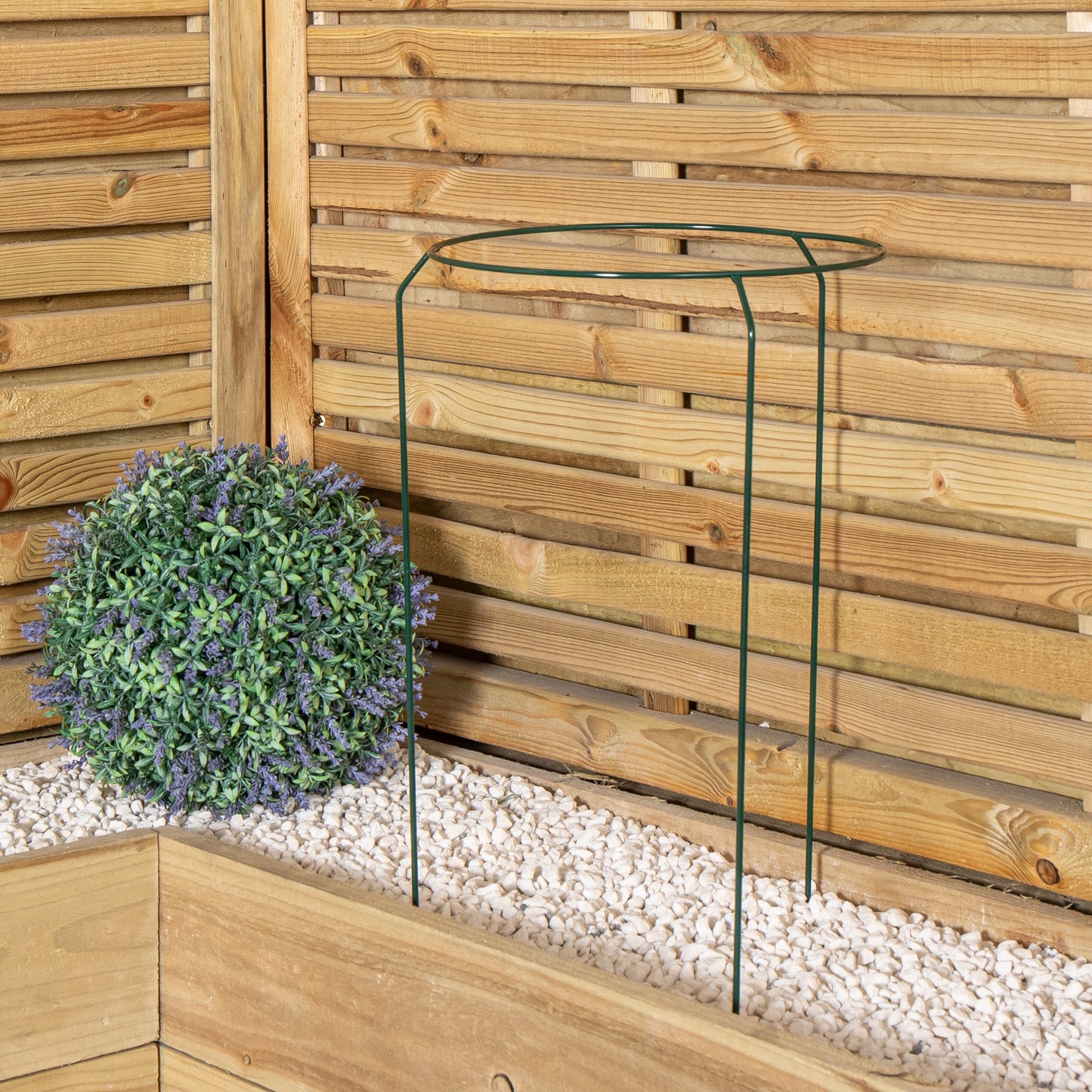 Tom Chambers Urban Metal Herbaceous Garden Plant Support Ring Medium 30cm x 50cm