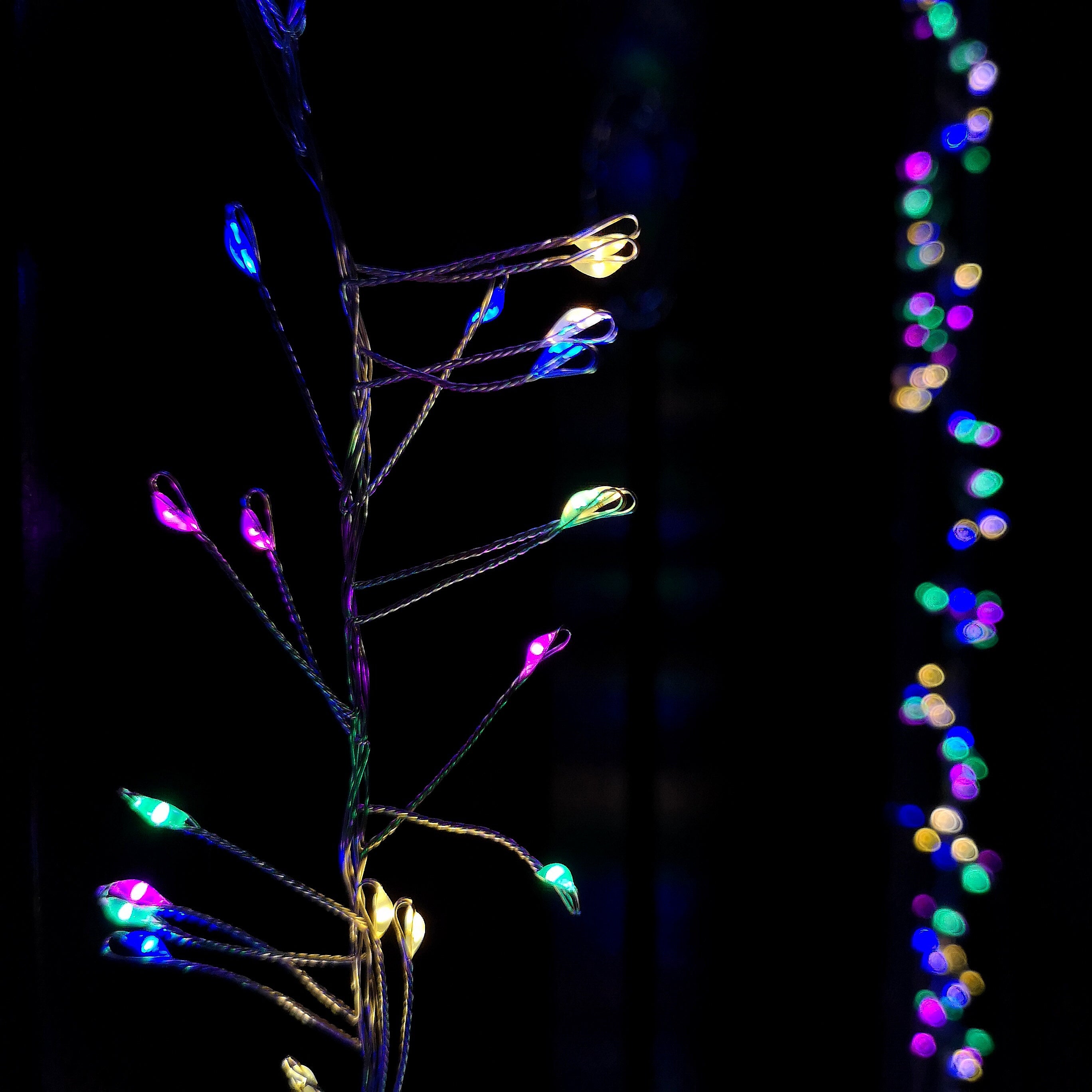 5.5m 880 LED Indoor Outdoor Christmas Door Lights in Multi-Coloured