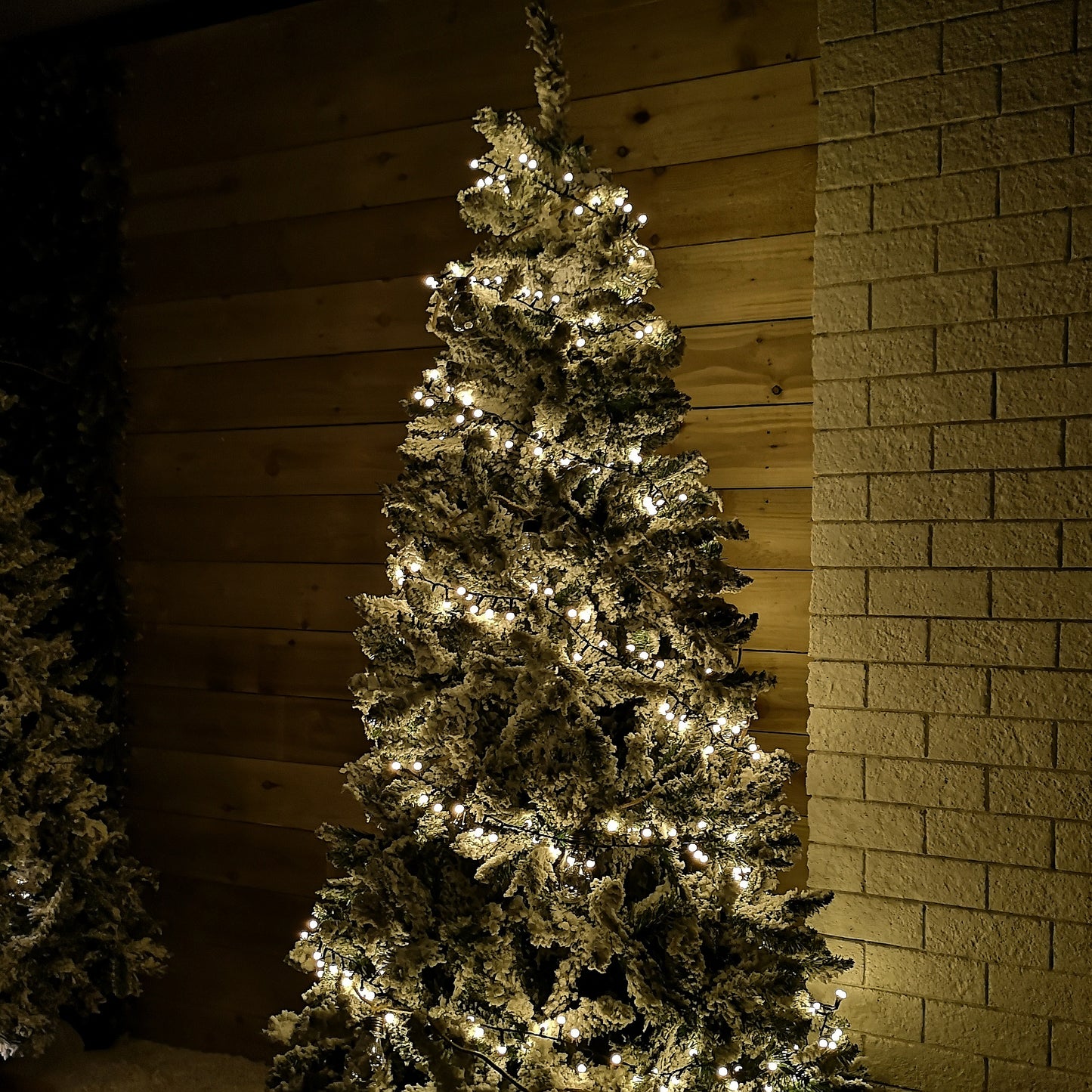 7.5m 300 LED Frosted Berry Warm White String Lights Garden Christmas Lights with Timer