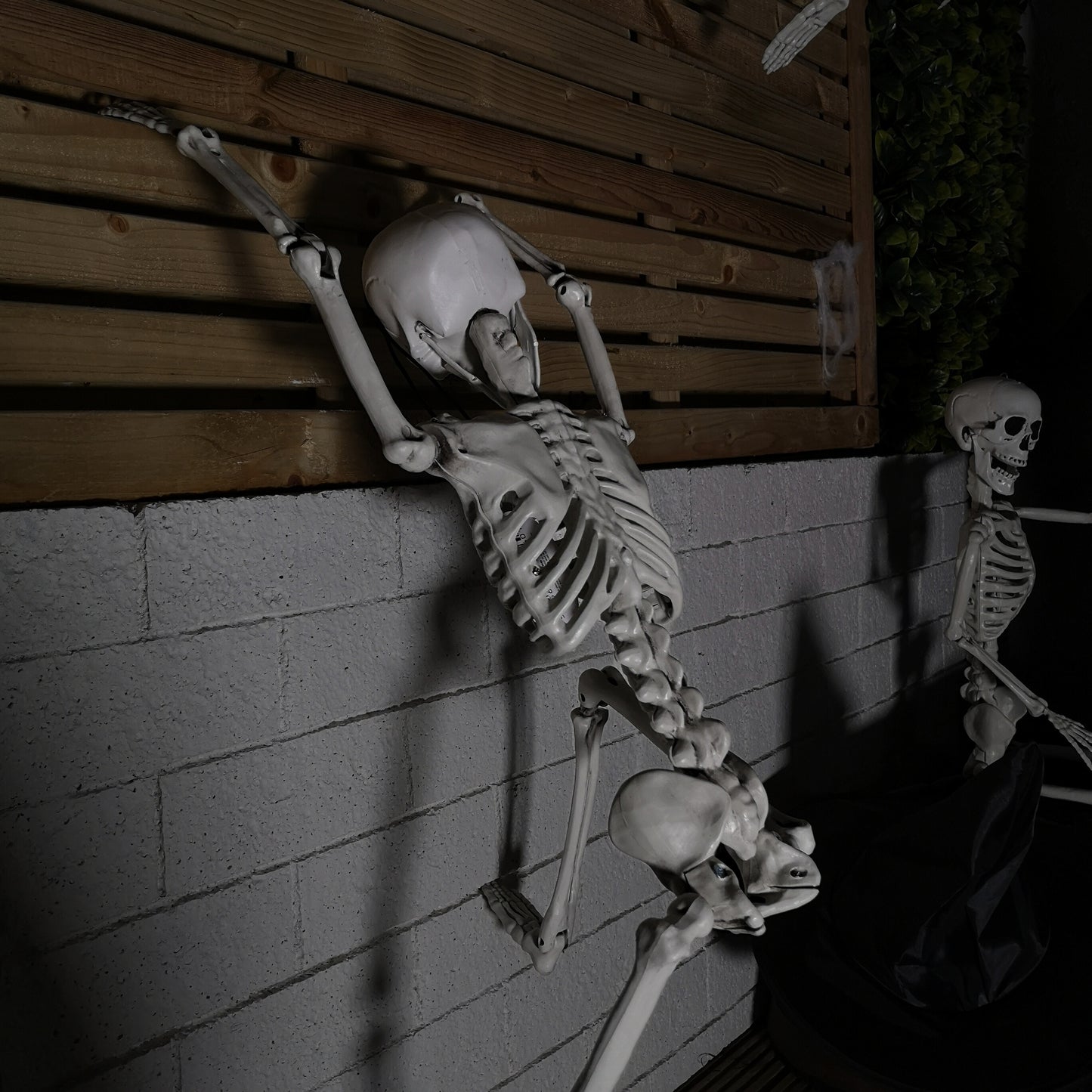 Pack of 6 90cm (3ft) Posable Full Body Halloween Skeleton Decoration with Movable Joints