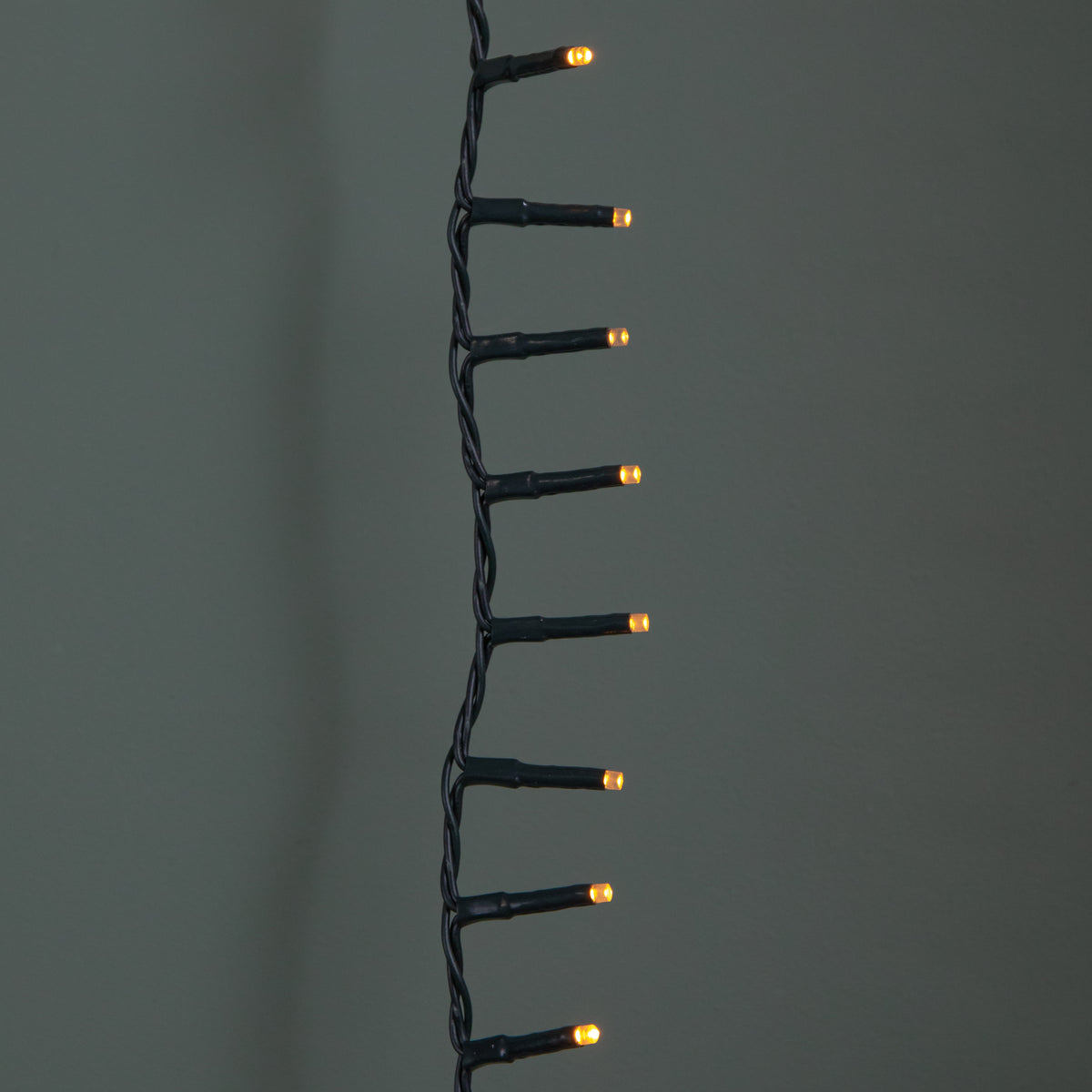 3000 LED 75m Premier TreeBrights Indoor Outdoor Christmas Multi Function Mains Operated String Lights with Timer in Vintage Gold