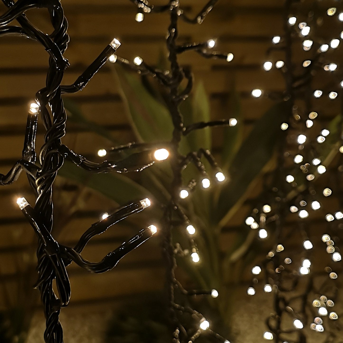 Factory Seconds: Set of 6 Drop Tree Multi-Action Christmas ClusterBrights with 384 Warm White