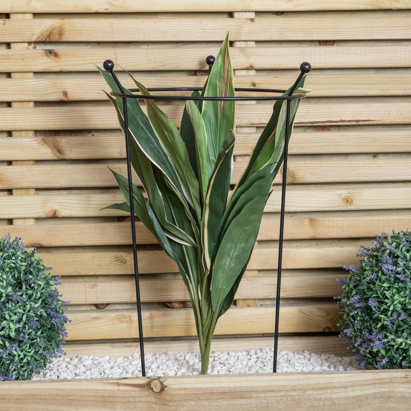 Small 60cm x 35cm Heavy Duty Black Steel Herbaceous Garden Plant Support Ring