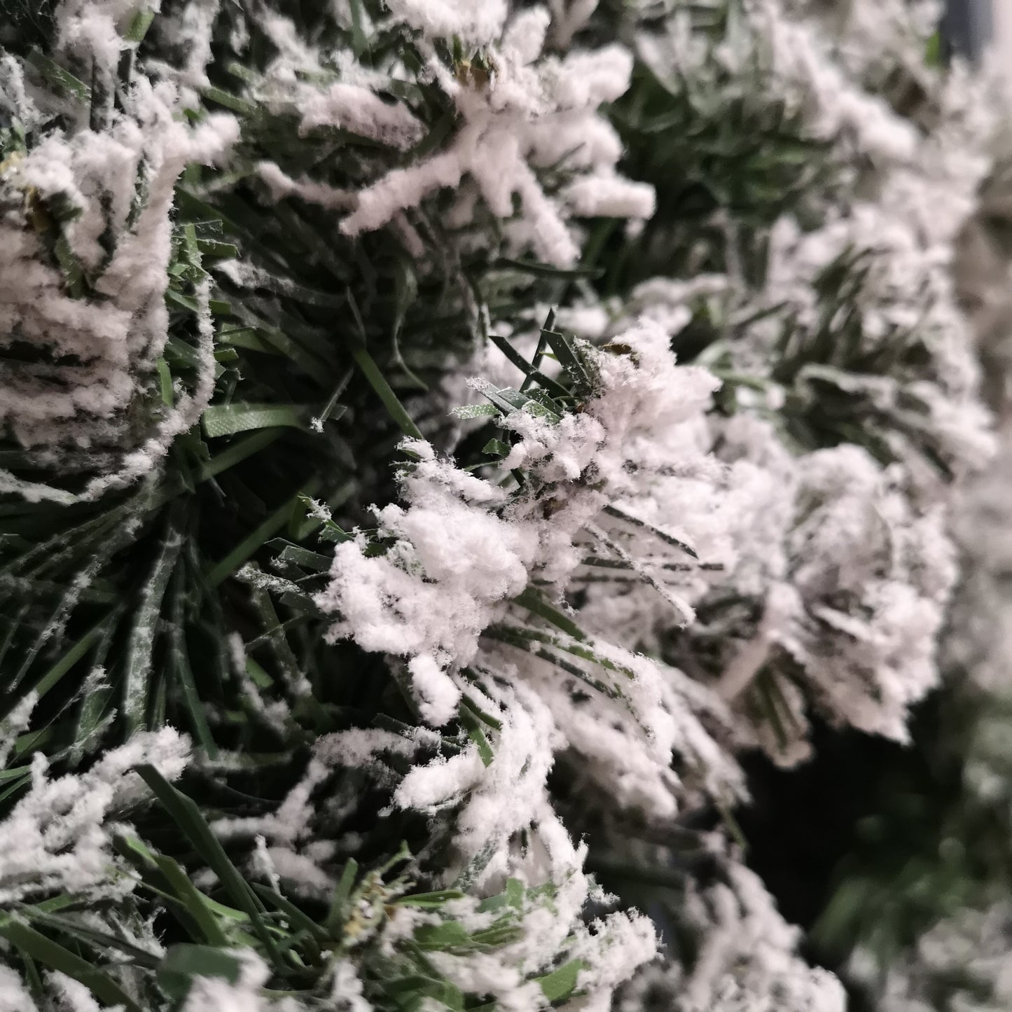 50cm Snow Flocked Imperial Pine Christmas Wreath