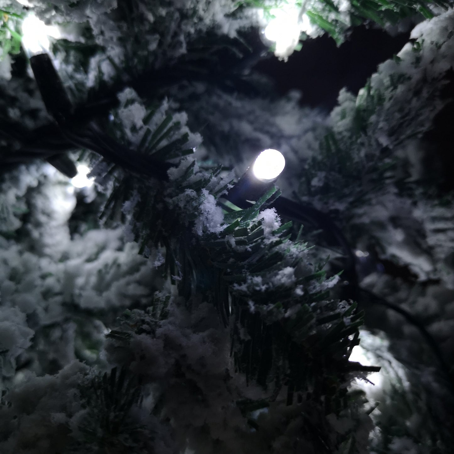 100 LED 8m Premier Christmas Connectable Outdoor Static Lights in Cool White