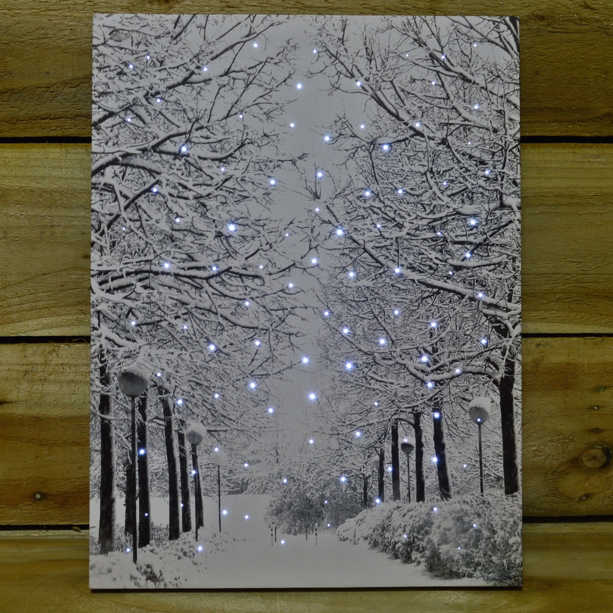 40 x 30cm Touch Operated Christmas Winter Avenue Fibre Optic Light Up Wall Canvas