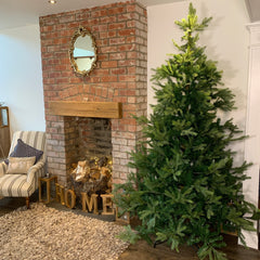 Everlands 240cm (8ft) Green Grandis Fir Real Look Christmas Tree 2935 Tips