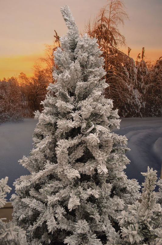 8ft (240cm) Snowy Toronto Pine Artificial Christmas Tree in Green with 791 tips
