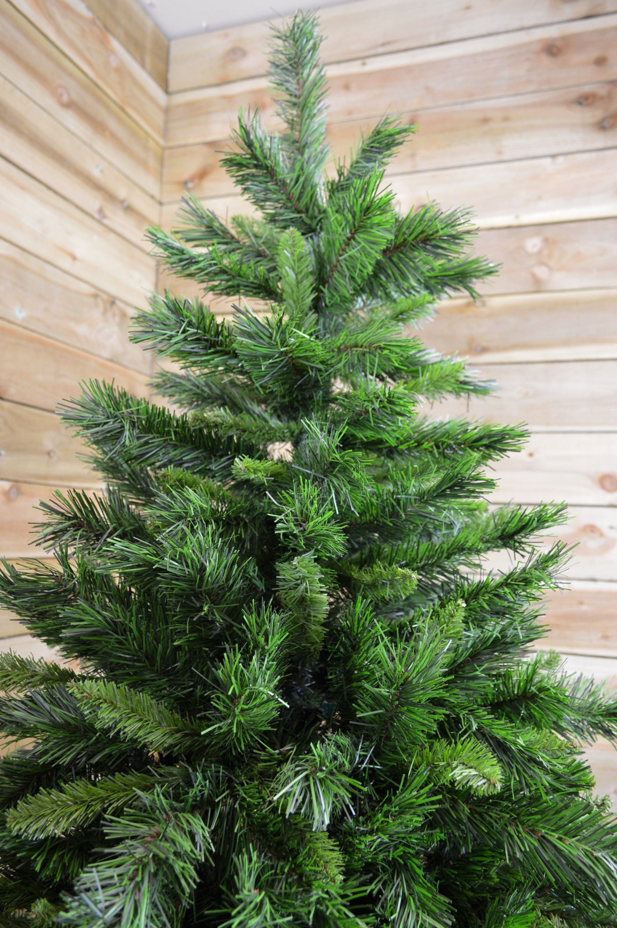6ft, 7ft or 7.5ft Snowtime Luxury Kateson Fir Christmas Tree in Green