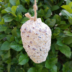 Pack of 3 Tom Chambers Wild Garden Bird Suet Pinecone Containing Suet and Seeds with Hanging String