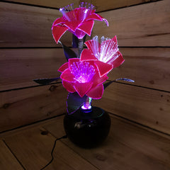 Premier 40cm Fibre Optic Christmas Red Poinsettias with LED Lights