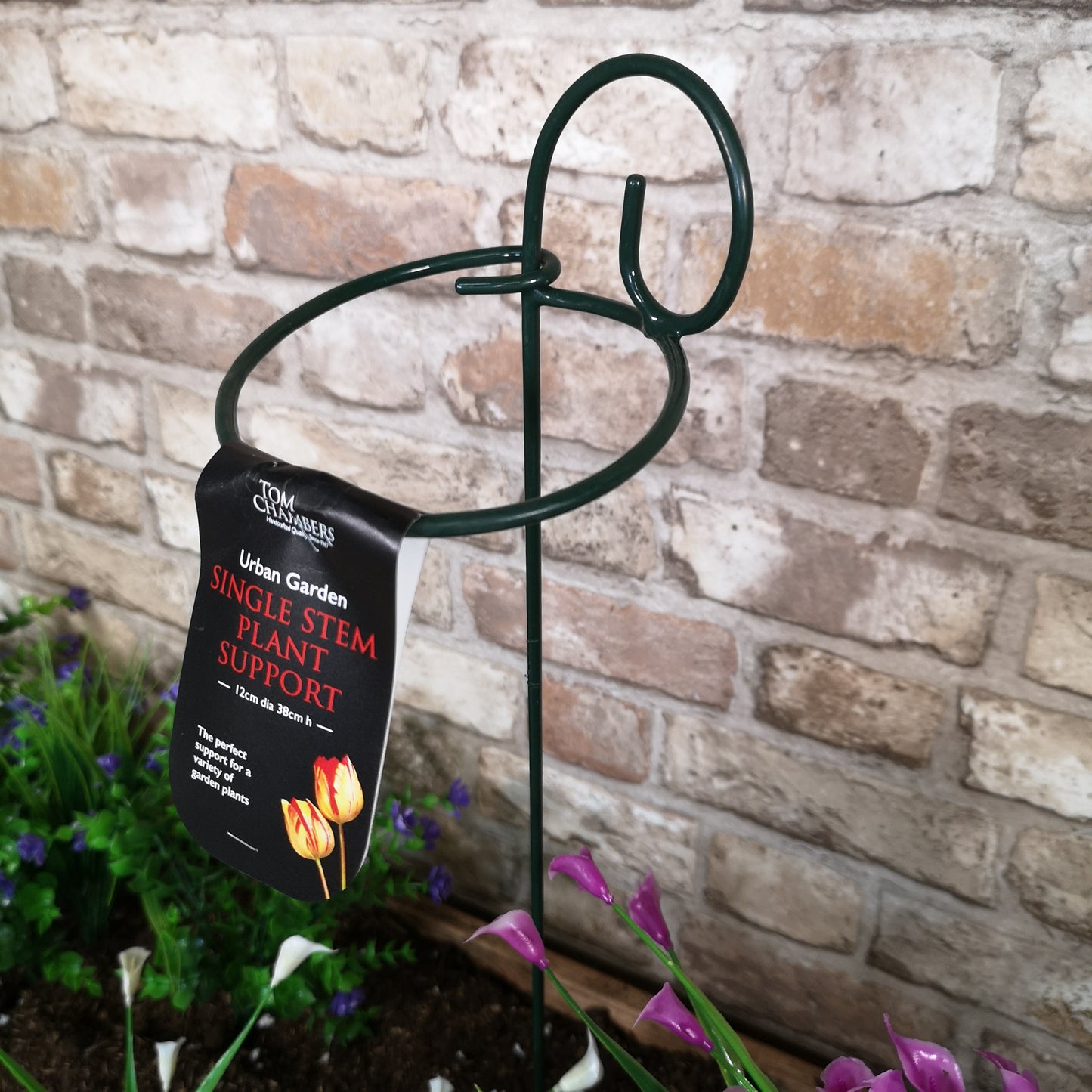 Pack of 6 Tom Chambers Urban Metal Herbaceous Garden Green Single Stem Plant Support Rings 12cm x 38cm