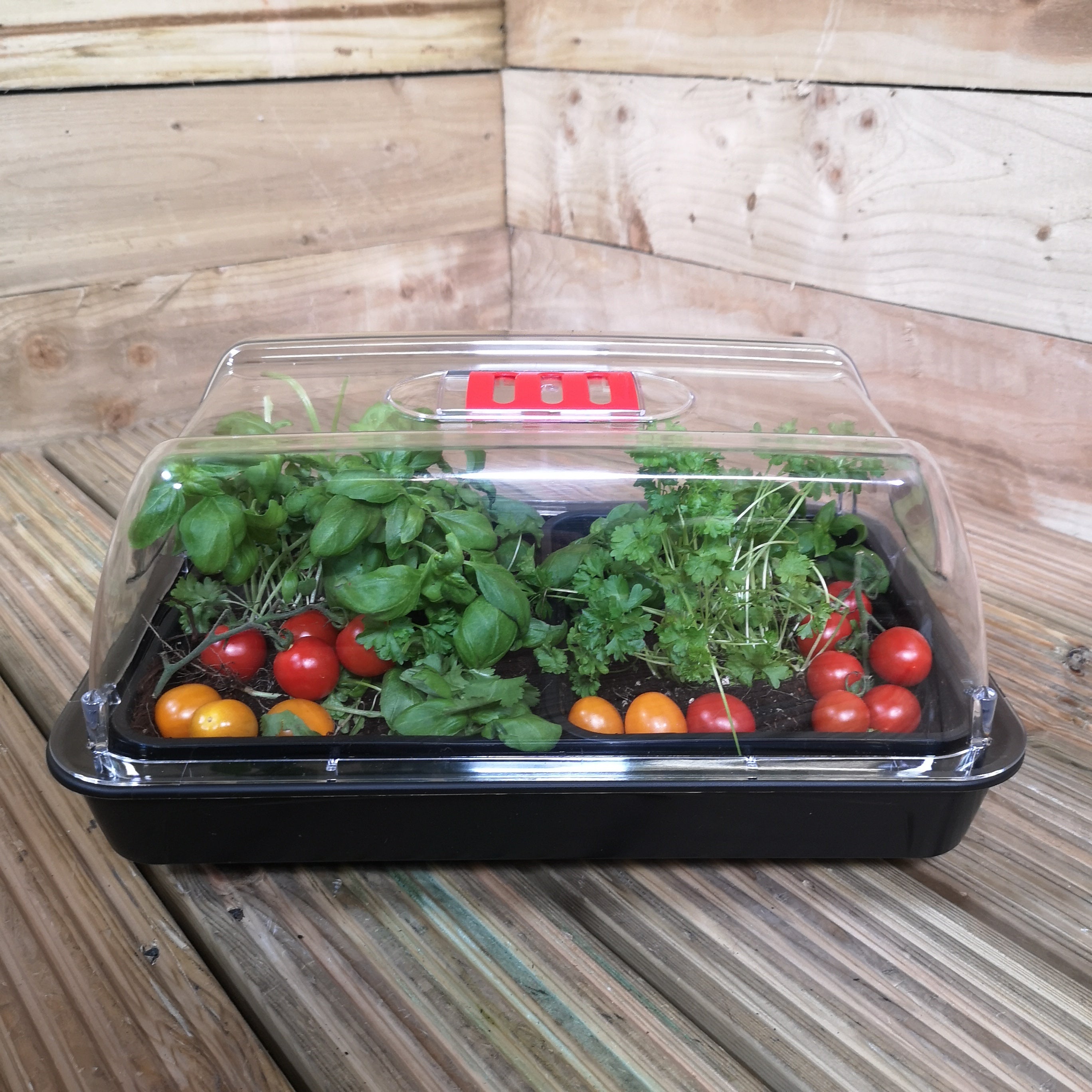 38cm Heated Seed Starter Tray Growarm 100 Propagator Kit with two trays Heated Indoor Seedling Planter