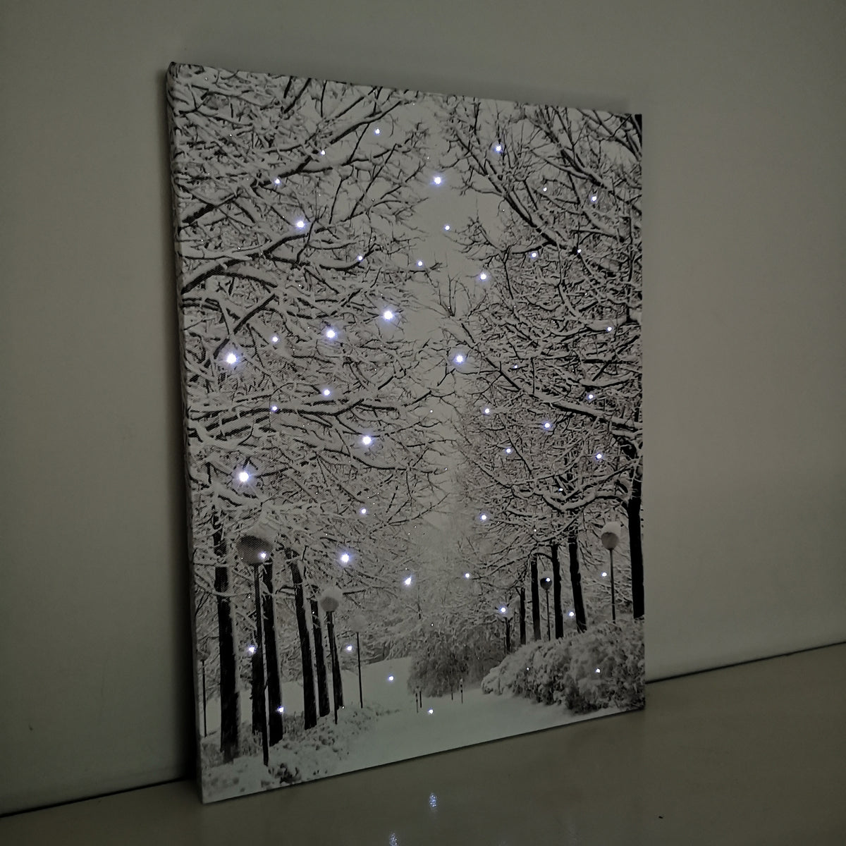 40 x 30cm Touch Operated Christmas Winter Avenue Fibre Optic Light Up Wall Canvas