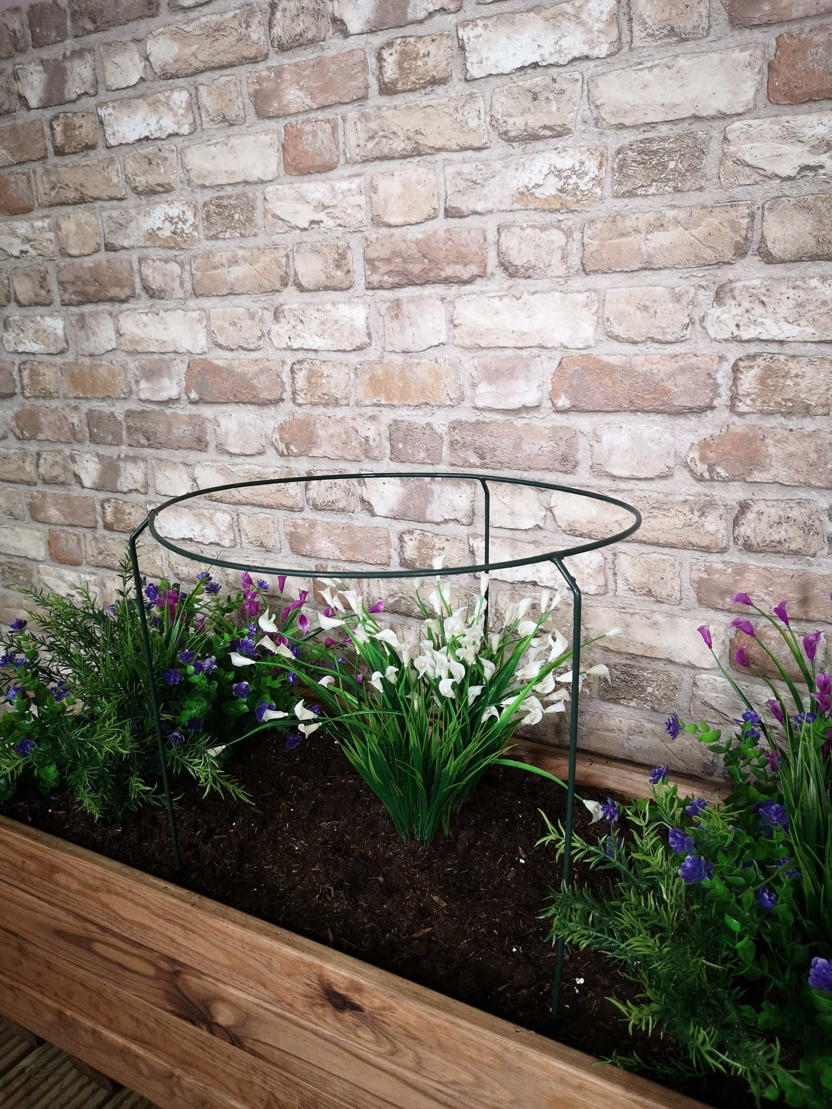 Tom Chambers Urban Metal Herbaceous Garden Plant Support Ring Large 40cm x 60cm