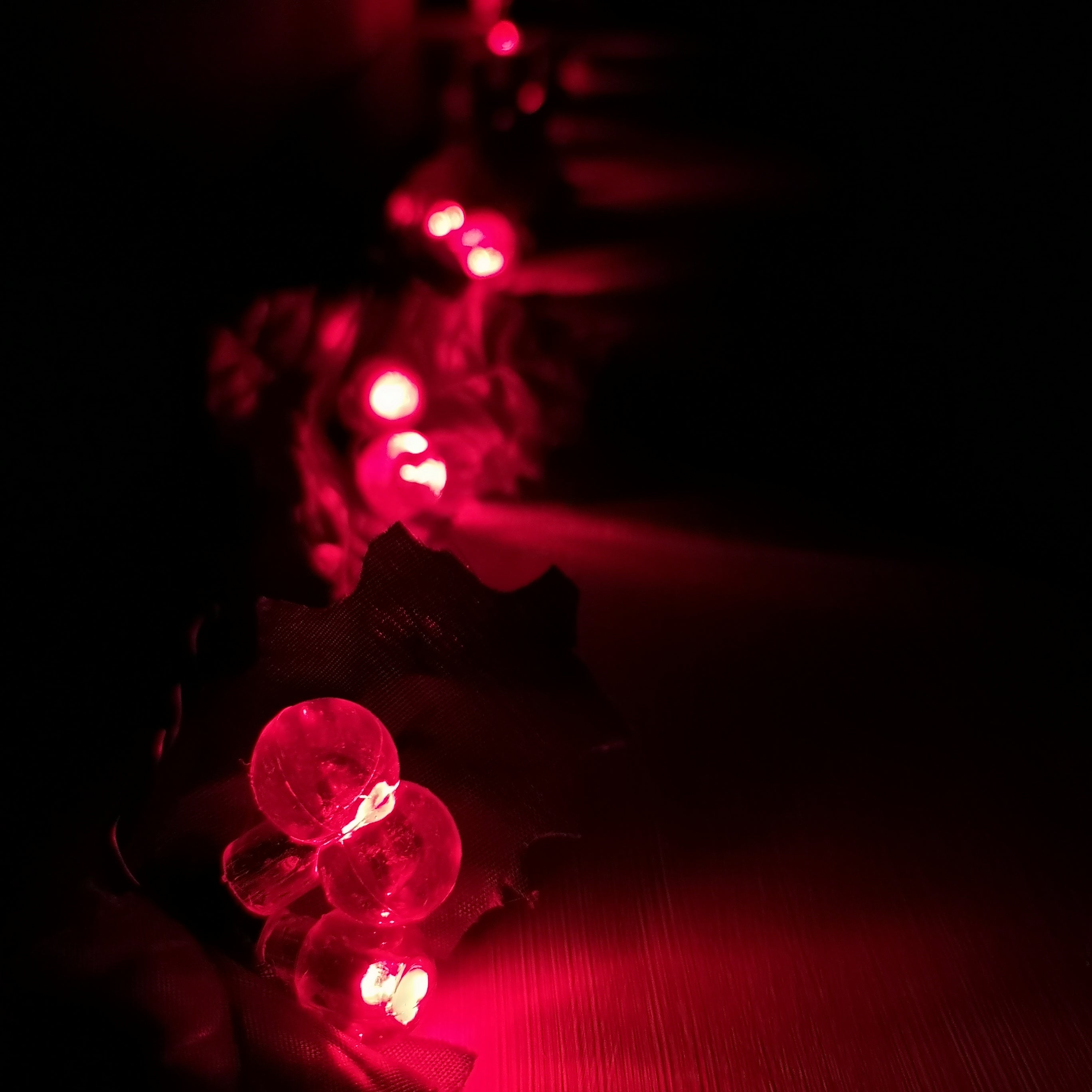 3.6m 50 LED Red Berry and Holly Lights For Outdoor and Indoor Use