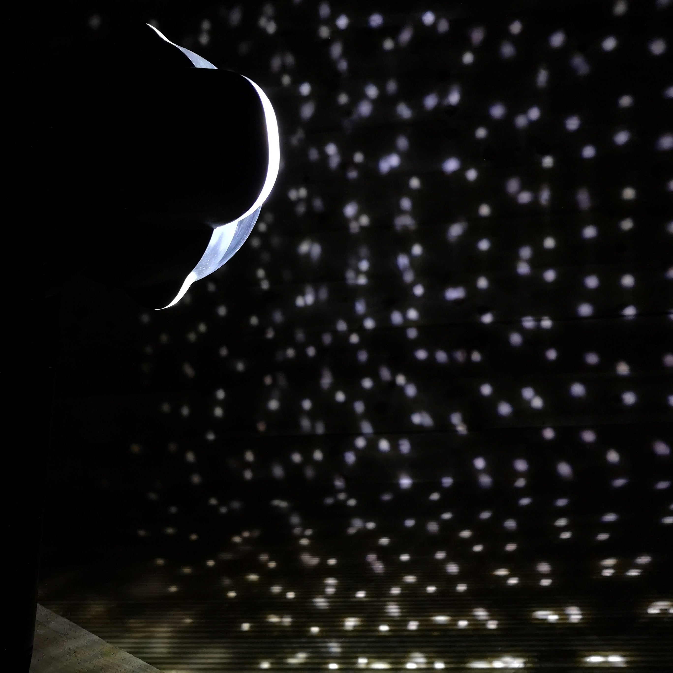 Premier Outdoor Christmas Snowfall Projector Light with Cool White LEDs