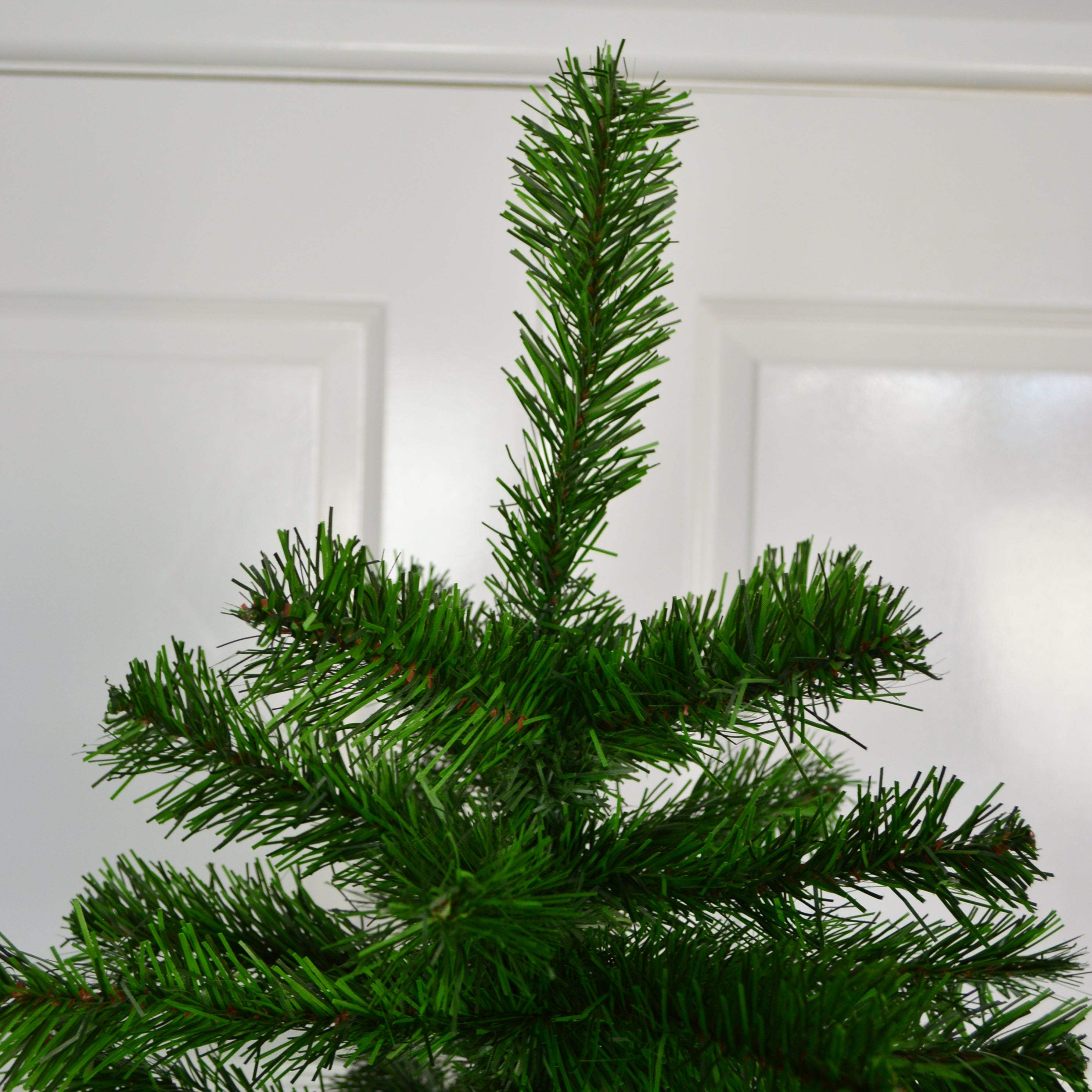 6ft Colorado Spruce Christmas Tree in Green with 481 tips 106cm Diameter
