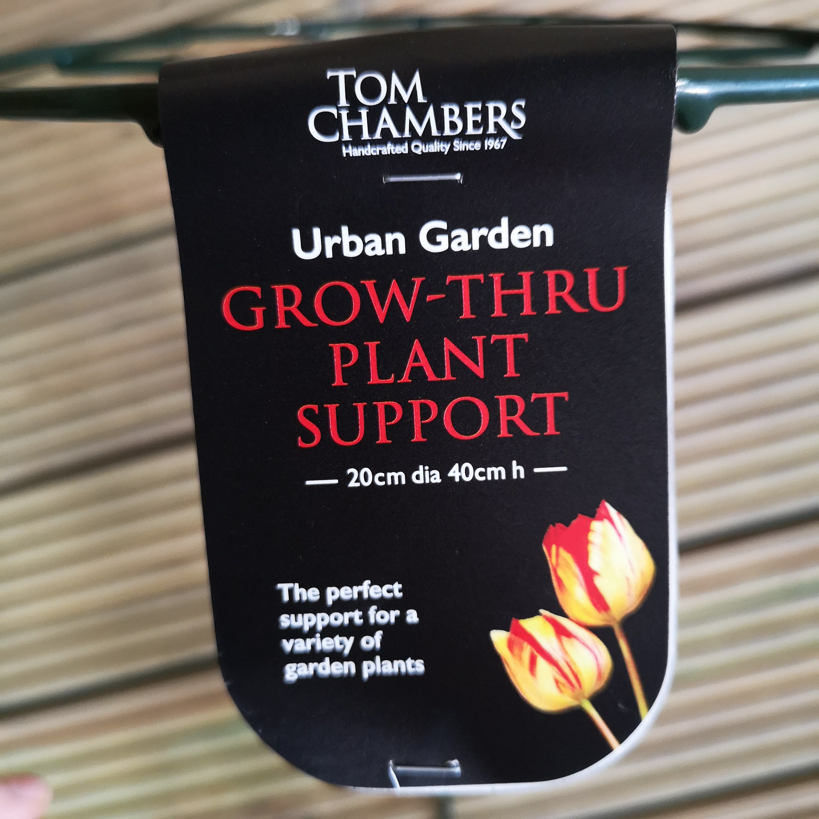 Tom Chambers Urban Dark Green Metal Herbaceous Garden Plant Support Grow Through Small 40cm x 20cm