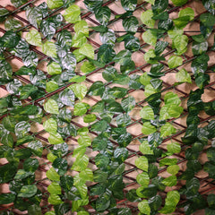 2m x 1m Expanding Garden Leaf Trellis