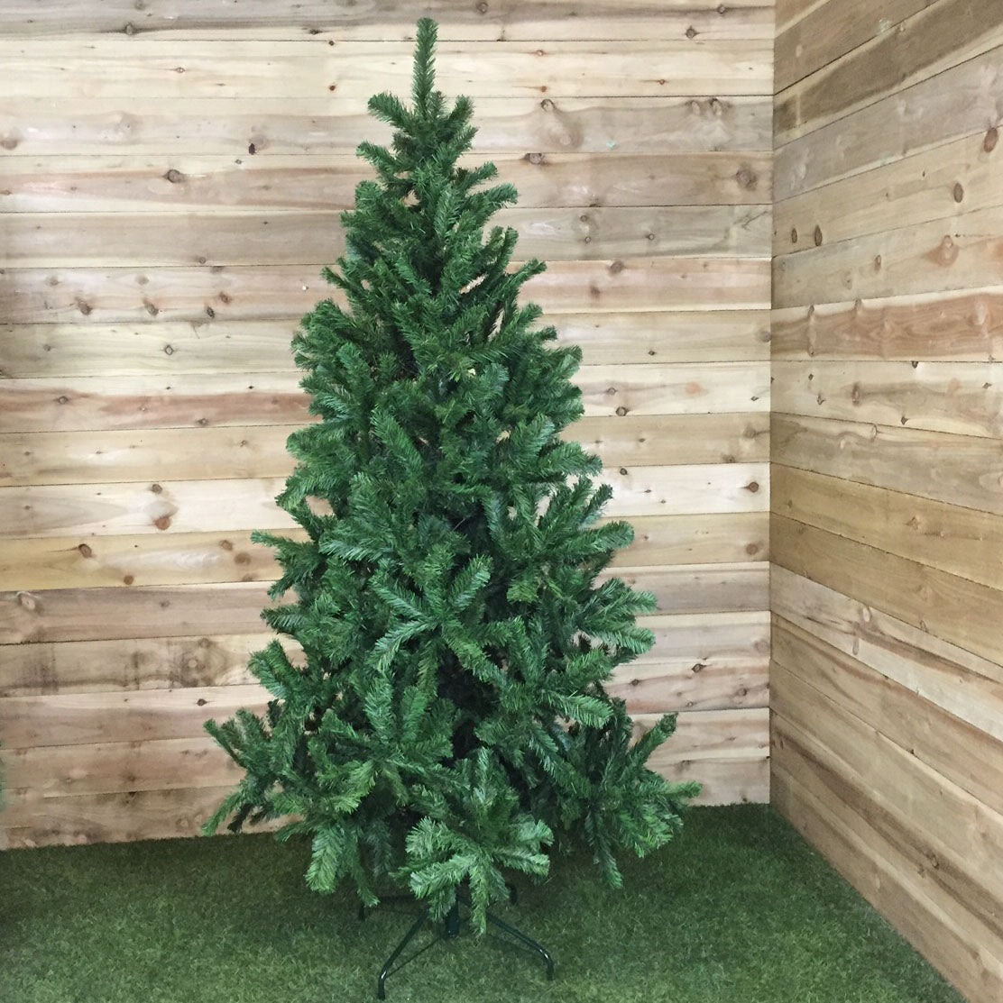 4ft, 5ft, 6ft, 7ft, or 8ft Colorado Spruce Christmas Tree in Green
