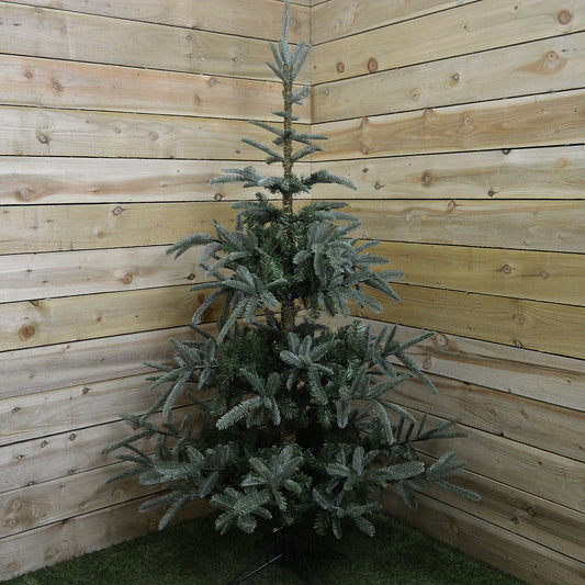 6ft (180cm) Natural Look Green Nobilis Fir Christmas Tree