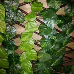 2m x 1m Expanding Garden Leaf Trellis