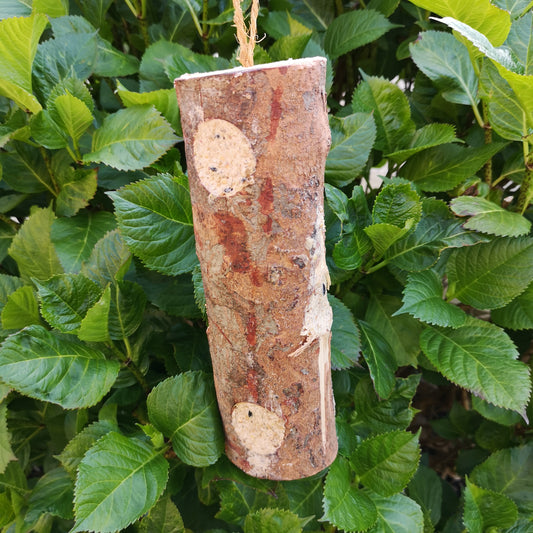 Tom Chambers Wild Garden Bird Rustic Suet and Seed Filled Hanging Log Feeder with Hanging String 2736
