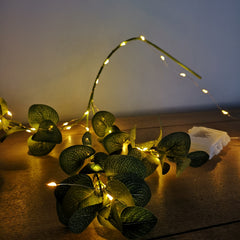 100 LED 5m Indoor Outdoor Christmas Multi Function Battery Operated Lights with Timer on Pin Wire in Vintage Gold