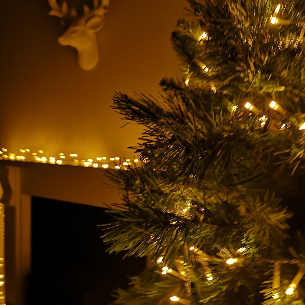 1000 LED 25m Premier TreeBrights Indoor Outdoor Christmas Multi Function Mains Operated String Lights with Timer & Clear Cable in Vintage Gold