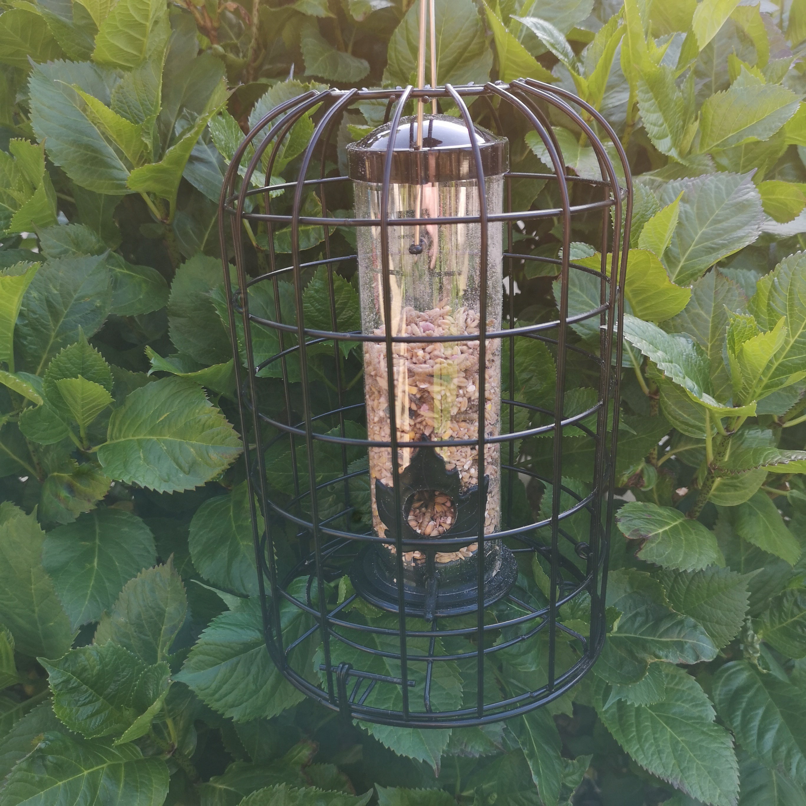 26cm Tom Chambers Heavy Duty Squirrel Proof Caged 2 Port Garden Wild Bird Hanging Black Metal Seed Feeder